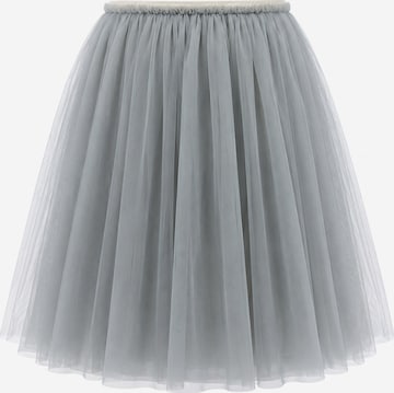 Billy loves Audrey Skirt 'Tüllrock Daphne' in Grey: front