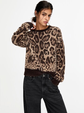 Pull&Bear Trui in Bruin: voorkant