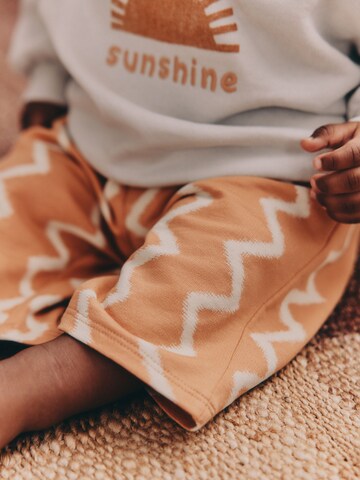 NextKomplet - siva boja