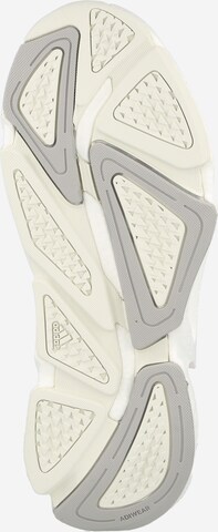 Baskets basses ADIDAS SPORTSWEAR en blanc