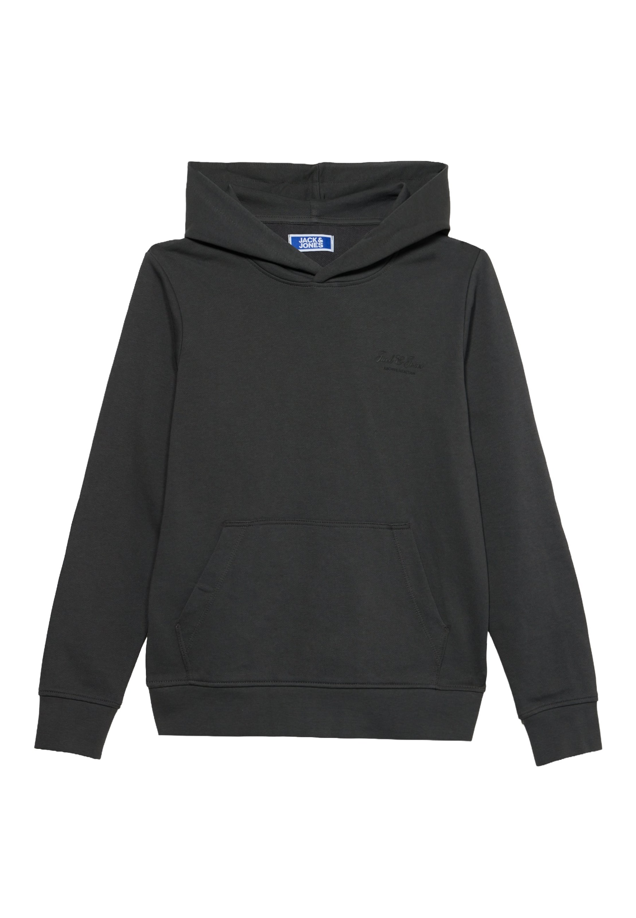 Felpa 'JJEARCHIVE' di Jack & Jones Junior in grigio: frontale