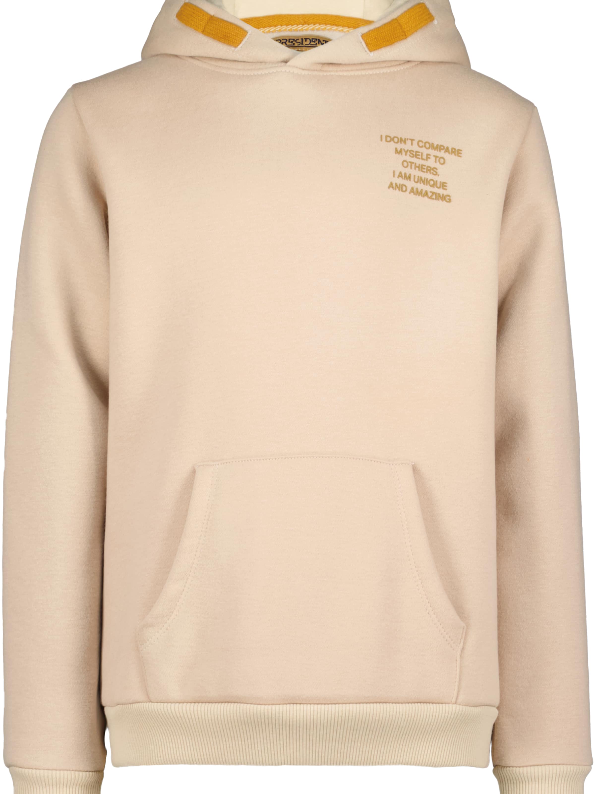 4PRESIDENT Pullover 'Marco'‌‌ in Beige: Vorderseite