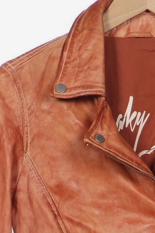 FREAKY NATION Jacke S in Orange