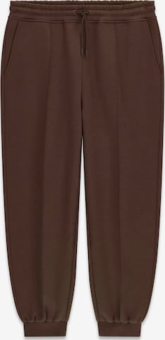 GUESS Pants in Brown: front