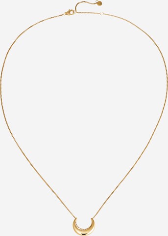 SKAGEN Necklace in Gold: front