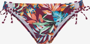 VENICE BEACHBikini donji dio - crvena boja: prednji dio