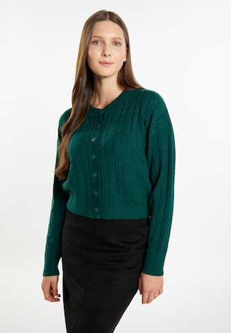 MYMO Плетена жилетка 'Biany' в зелено: отпред