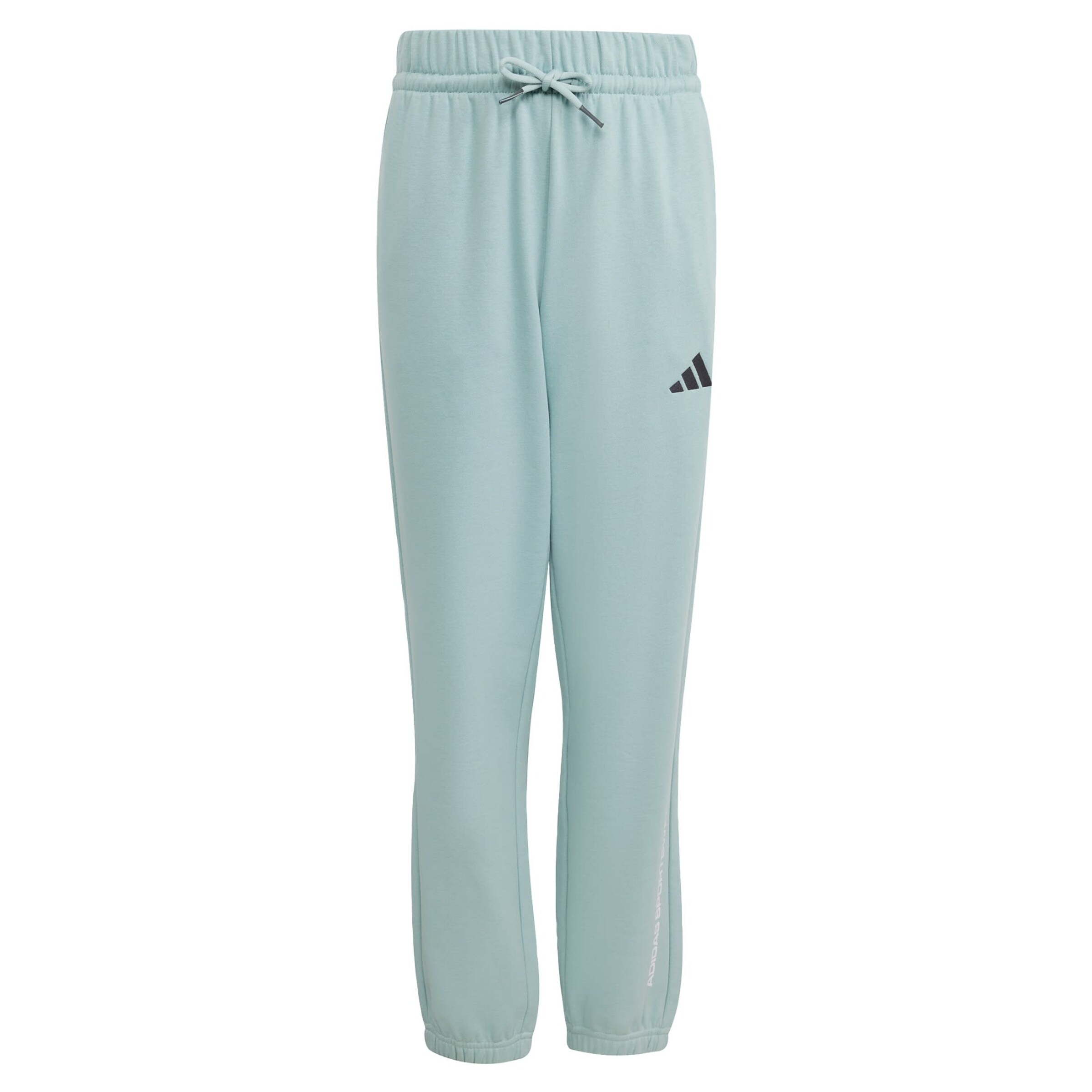 ADIDAS SPORTSWEAR - Pantalón deportivo 'adidas Slogan Fleece' en verde: frente