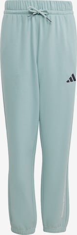 ADIDAS SPORTSWEAR Hose in Grün: Vorderseite