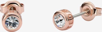 Ted Baker Oorbellen 'SINEE' in Goud: voorkant