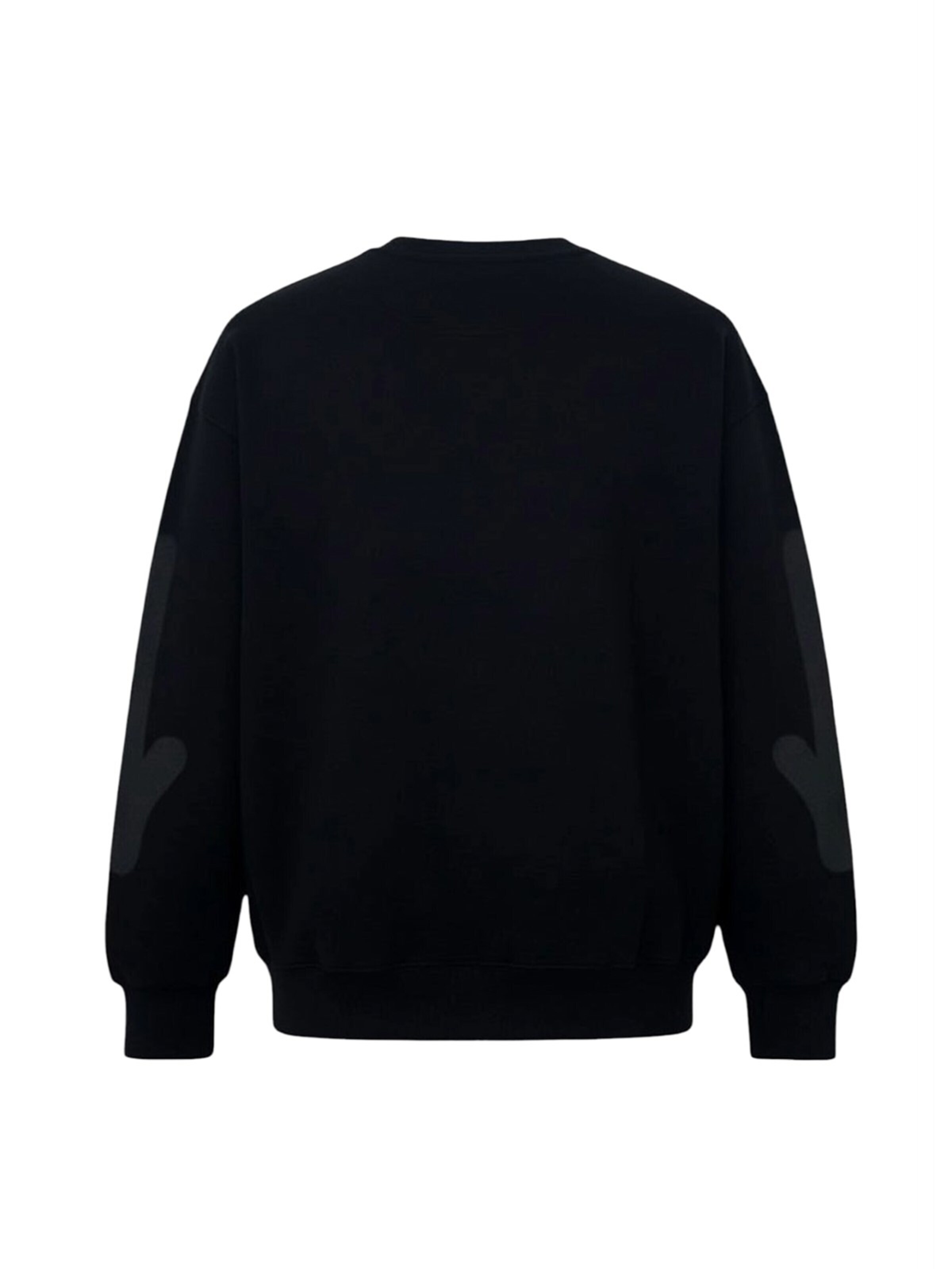 DISCLAIMER Sweatshirt 'Felpa'‌‌‌‌ in Schwarz