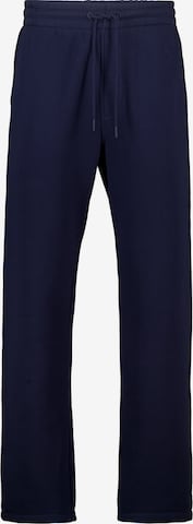 America Today Broek in Blauw: voorkant