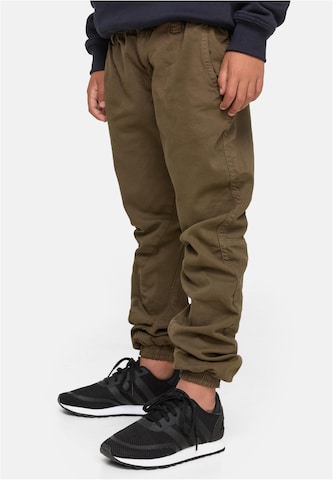 Tapered Pantaloni de la Urban Classics pe verde