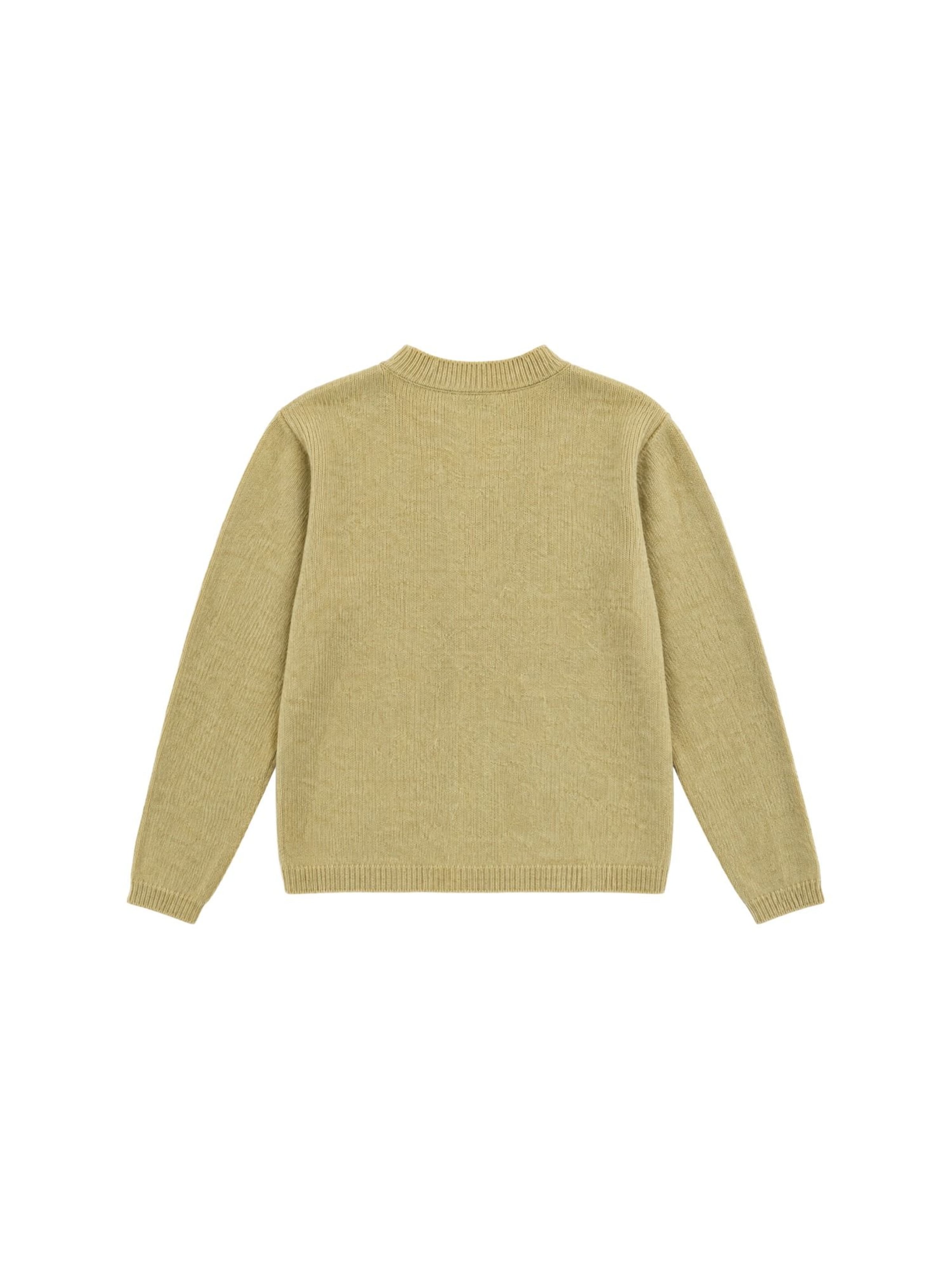Viorna Knit Cardigan 'Strickjacken' in Green