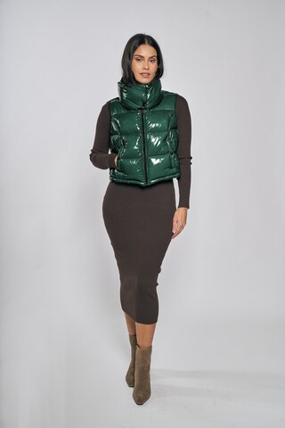 FREAKY NATION Vest in Green