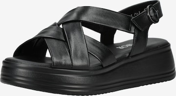 Sandales GABOR en noir : devant