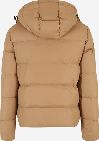 Giacca invernale di Calvin Klein Jeans in beige