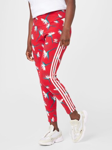 Skinny Leggings 'Thebe Magugu X ' de la ADIDAS ORIGINALS pe roșu: față