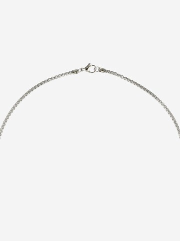 TOMMY HILFIGER Necklace in Silver