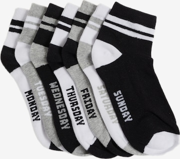 WE Fashion Sukat värissä harmaa: etupuoli