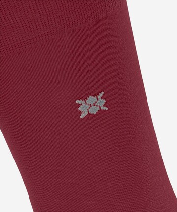 BURLINGTON Socken in Rot