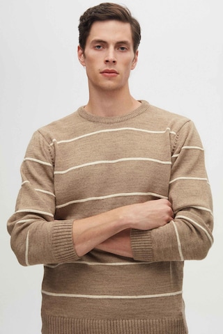 D’S Damat Trui in Bruin