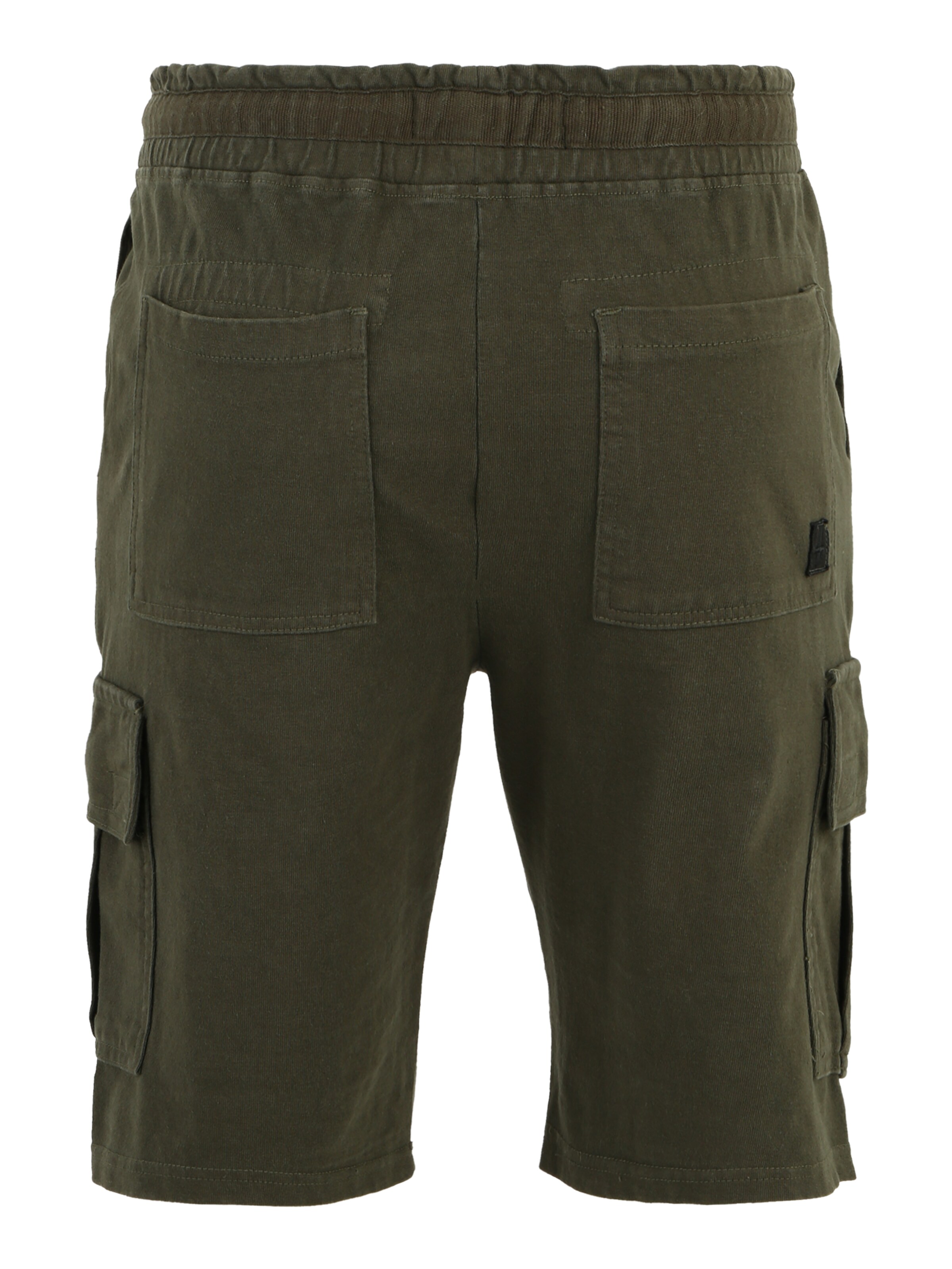 regular Pantaloni cargo di BLEND in verde