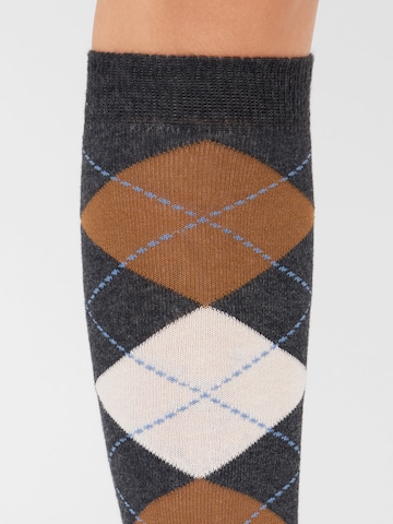 CALZEDONIA Knee High Socks in Grey