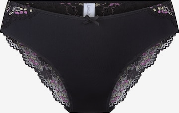 LingaDore Panty in Black: front