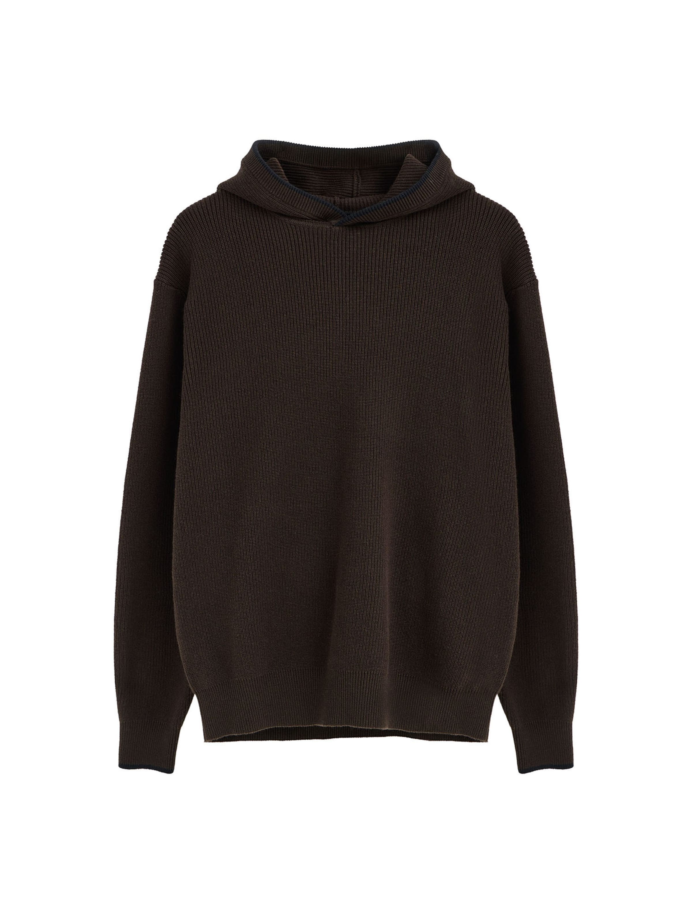 Polo Club Pullover in Braun: Vorderseite