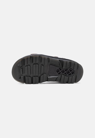 Dr. Martens Sandały 'ZebZag' w kolorze brązowy