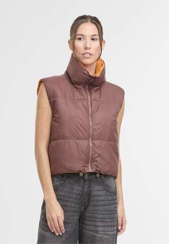 Noisy may Vest 'NMAles' in Brown: front