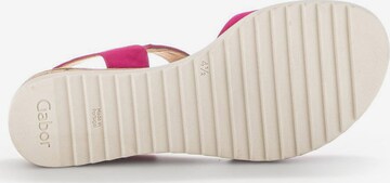 GABOR Sandals in Pink