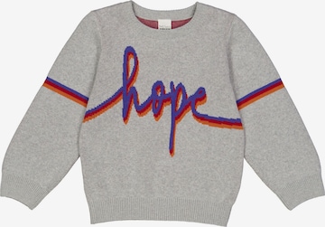 Fred's World by GREEN COTTON Trui in Grijs: voorkant