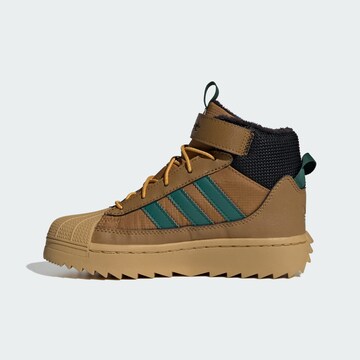 Bottes de neige 'Superstar' ADIDAS ORIGINALS en marron