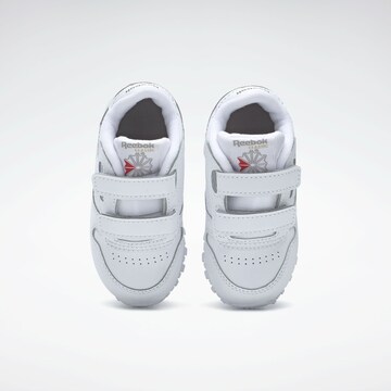 Reebok Sneakers in White