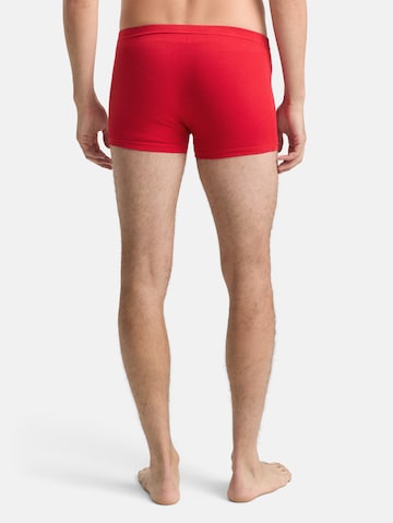 TOM TAILOR Boxershorts in Mischfarben
