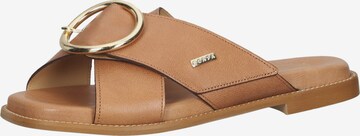 SCAPA Mules in Brown: front