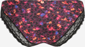 Cache Cœur Panty in Mixed colors