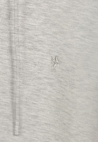 DENIM CULTURE Zip-Up Hoodie 'PEDRO' in Grey