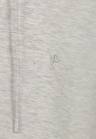 DENIM CULTURE Sweat jacket 'PEDRO' in Grey