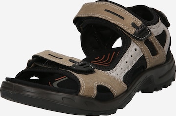 ECCO Hiking Sandals 'ECCO OFFROAD' in Beige: front