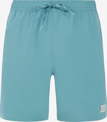 PROTEST Badeshorts 'PRTBAKY' in Grün: Vorderseite