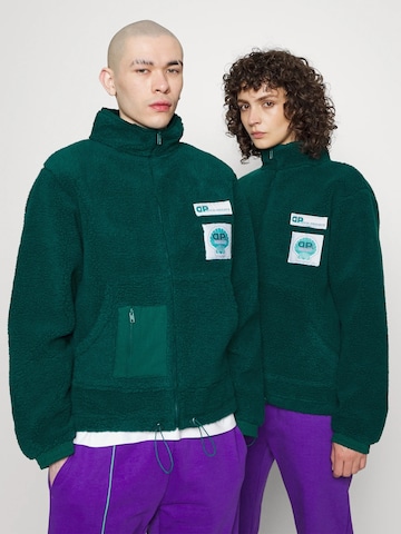 Denim Project Sweater ' DP ALEX ' in Green: front