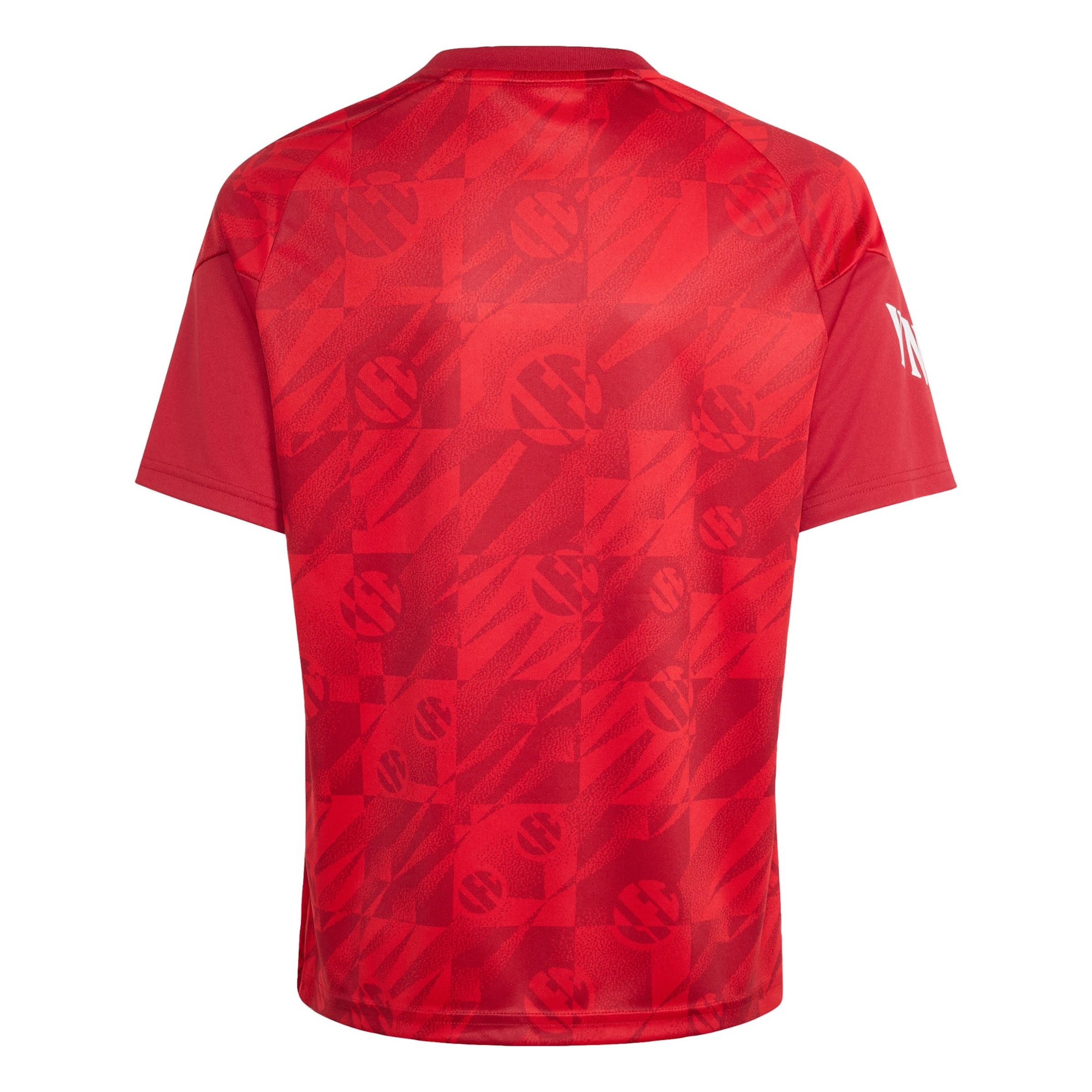 ADIDAS PERFORMANCE Funktionsshirt 'FC Liverpool 26/27' in Rot