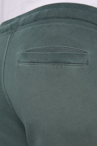 CAMP DAVID Regular Cargo trousers 'Tree House' in Green