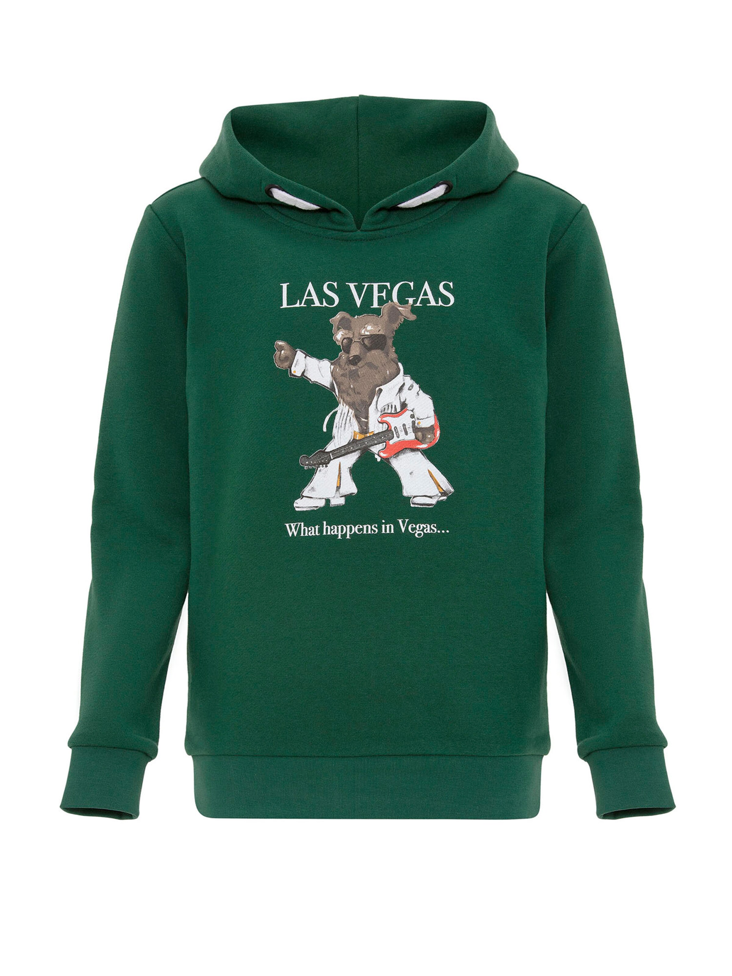 Williot Sweatshirt in Green: front