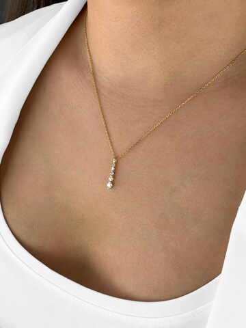 DANIEL CLIFFORD Necklace 'Henna' in Gold