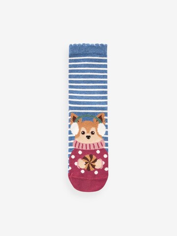 Next Socken in Mischfarben