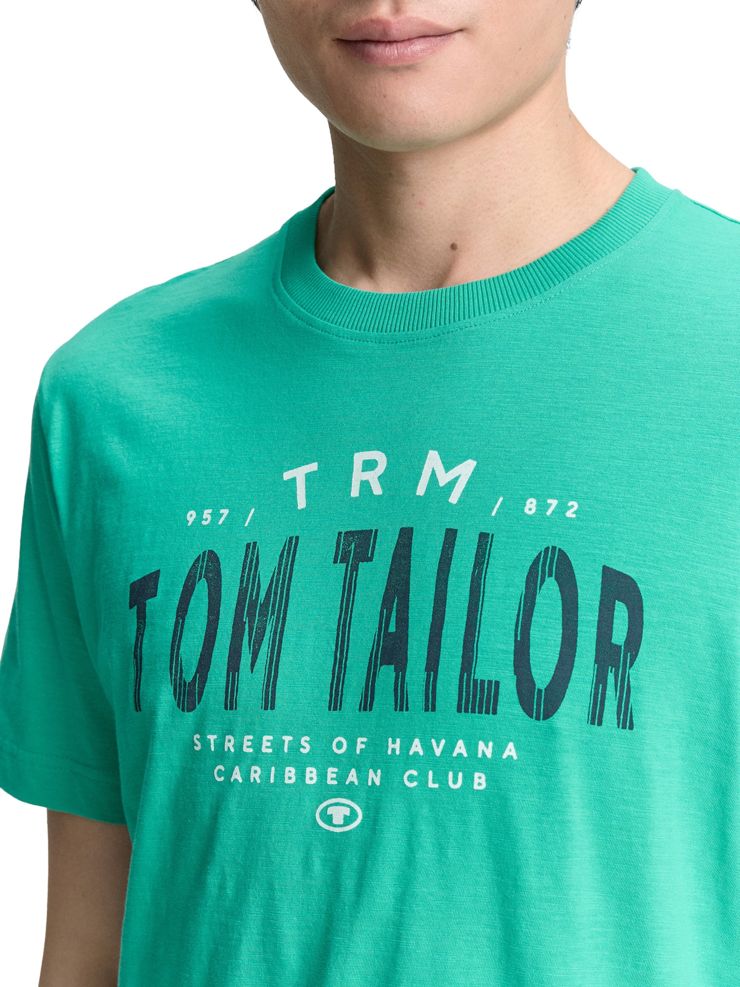 TOM TAILOR T-Shirt in Grün
